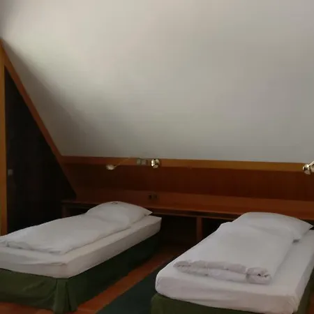 Hotel Hotel Hessler 3*
